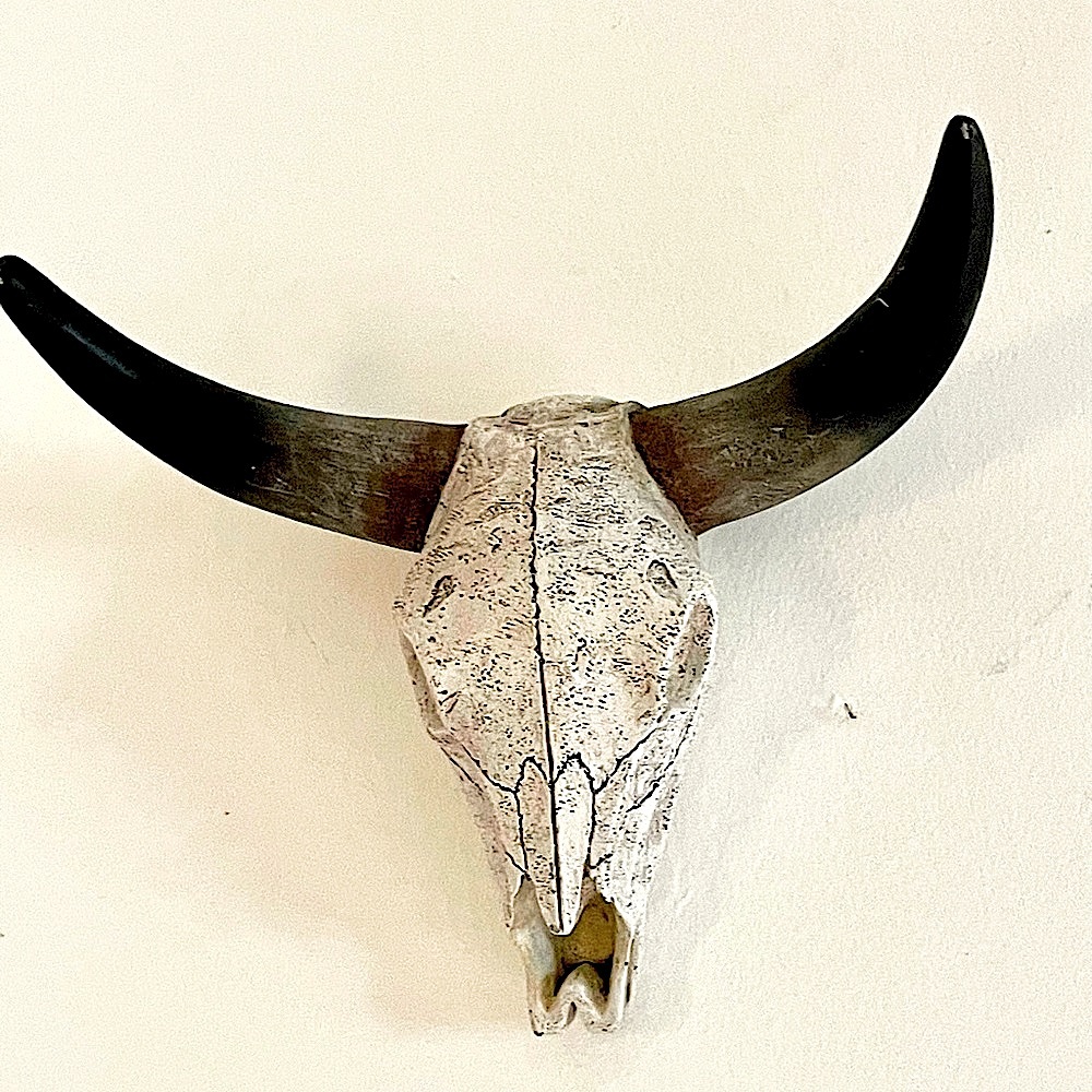 Animal face